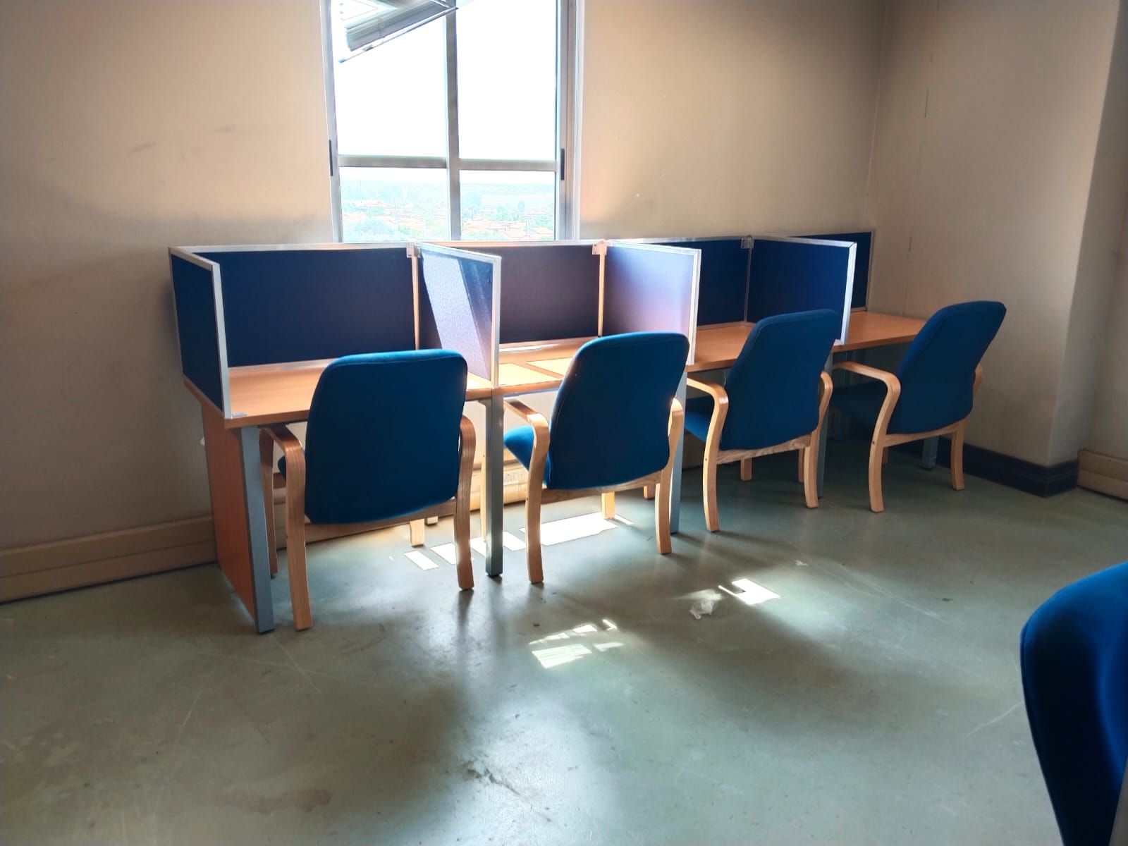 Navy study carrels along a window wall